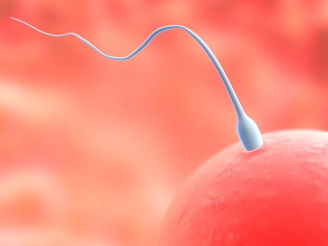 3d rendered anatomy close up of a human egg with sperm