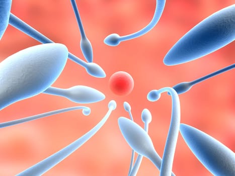 3d rendered anatomy close up of a human egg with sperms