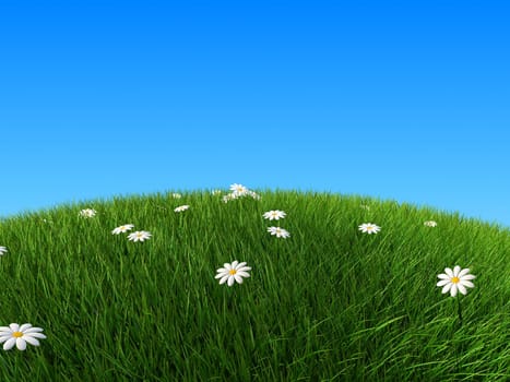3d rendered illustration of a green hill with white flowers