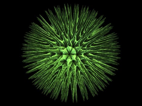 3d rendered close up of an isolated virus