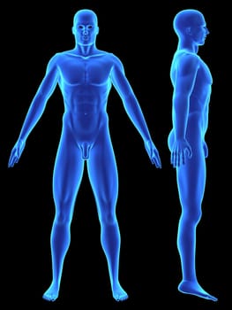 3d rendered illustration of a human body shape