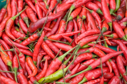 Red and Green Chilies on Display