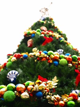 Looking up at tall christmas tree that is outside