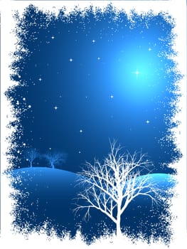 Winter trees with snowy border