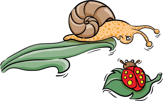 Illustration of a snail