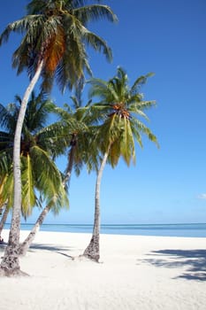 Island of Embudu in the Maldives
