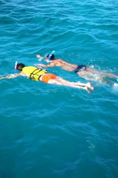 Snorkeling in the Indian ocean - Maldives