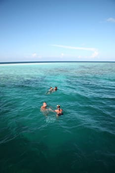 Snorkeling in the Indian ocean - Maldives