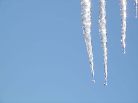 Icicles dripping against a blue winter sky.