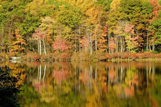 A fall reflection taken at Harriman State Park in New York.  Fall 2007.