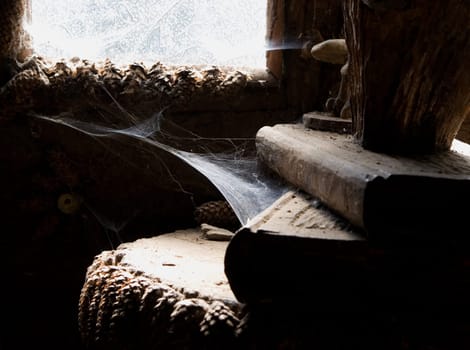 Old Books in dust and cobwebs
