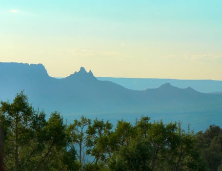 Mesas Silhouette and Trees, Gateway, Colorado