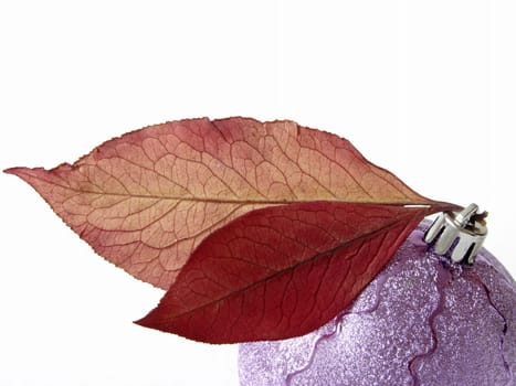 christmas design with bauble and autumnal leaves
