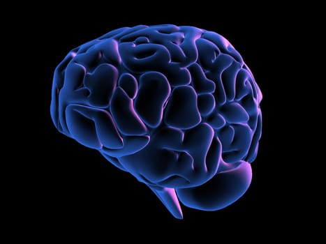 3d rendered anatomy illustration from a side view of a human brain