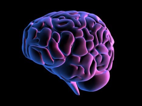 3d rendered anatomy illustration from a side view of a human brain