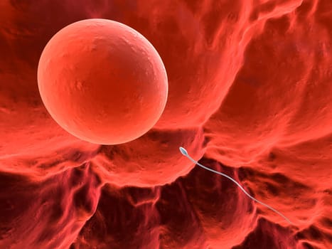 3d rendered close up of a human egg with one sperm
