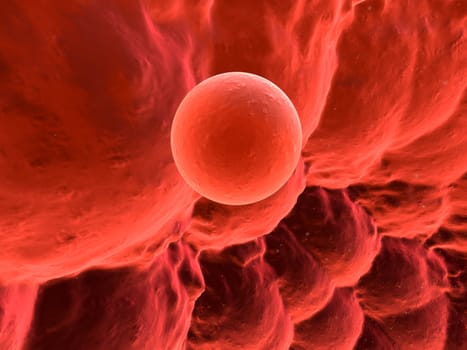 3d rendered close up of a human egg