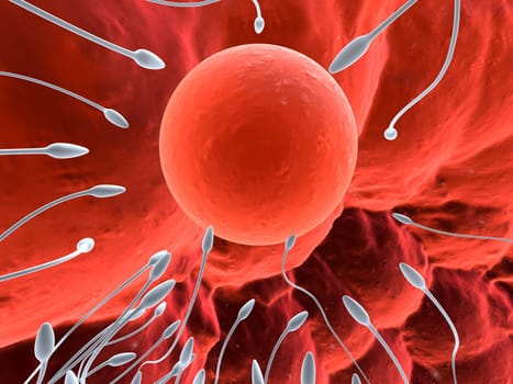 3d rendered close up of a human egg with sperms