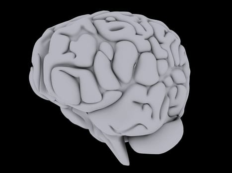 3d rendered anatomy illustration of a grey human brain