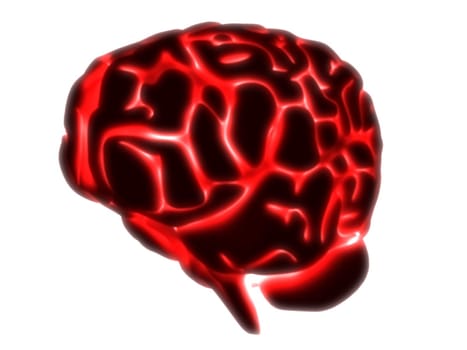 3d rendered anatomy illustration of a red glowing human brain