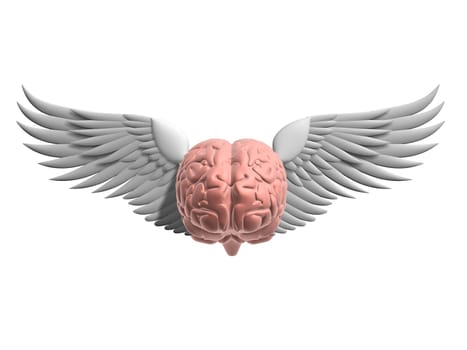 3d rendered illustration of a human brain with wings