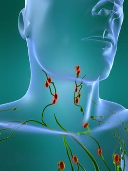 3d rendered anatomy illustration of a human cervix with swollen lymph nodes