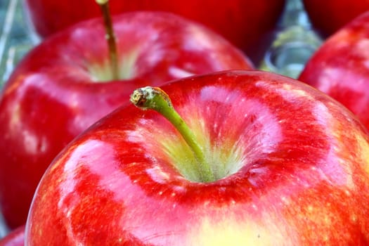 close up of red apples