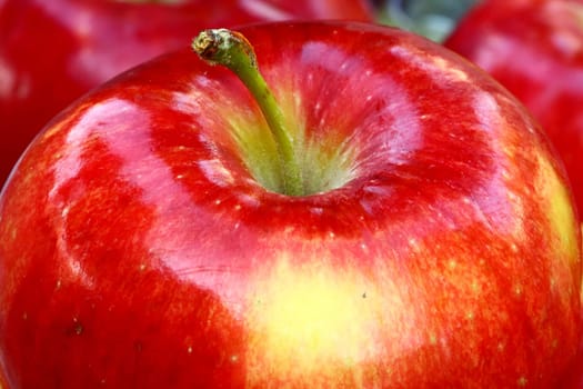 close up of red apples