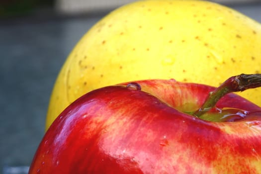 close up of red and yellow plle