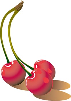 Illustration of red cherrys