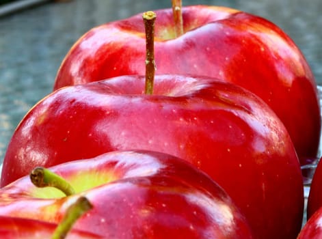 close up of red apples