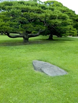 zen garden background in summer, Hama Rikyu garden, Tokyo
