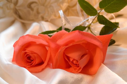 Red roses on silk background