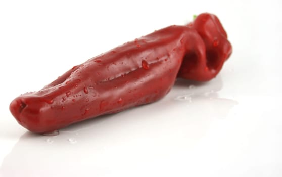 Sinlge huge red chilie - close up