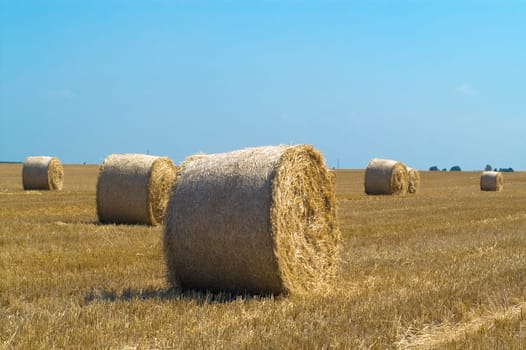 Hay bale on field