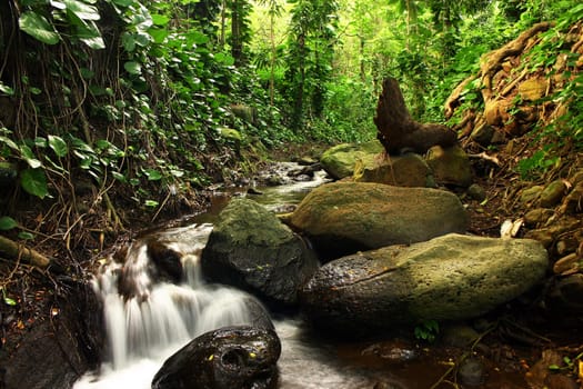This is a picture of the watershed in honolulu.