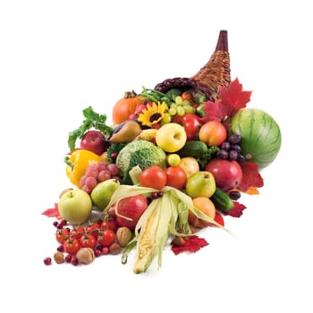 Horn of plenty
