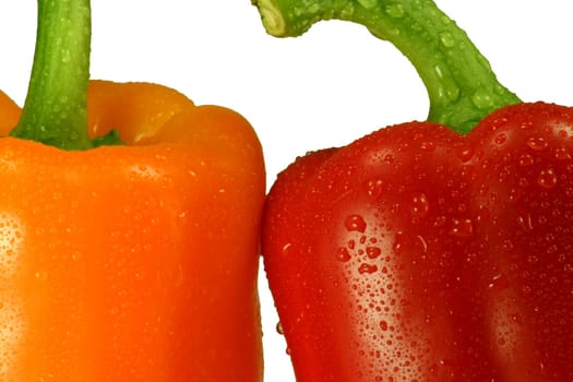 Macro of dew covered red and orange peppers