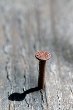 macro of nail coming up out of wood/board