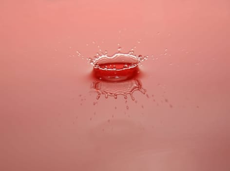 Water Splash forming a Crown with reflection