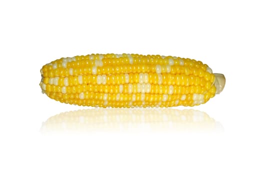 Corn cob with reflection on a white background
