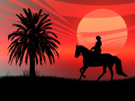 Wild horse silhouette in a red sunset