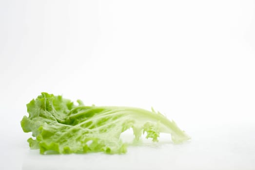 fresh vegetable lettuce isolated on a white background with drops of water