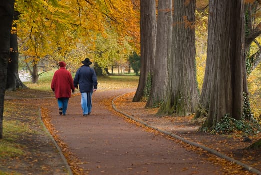 couple of senior adults walking in a park in autumn