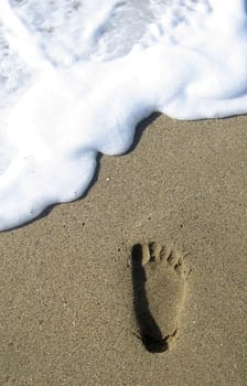 To the sea