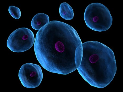 3d rendered close up of cells with nucleus