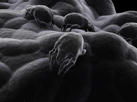 3d rendered close up of an isolated mite