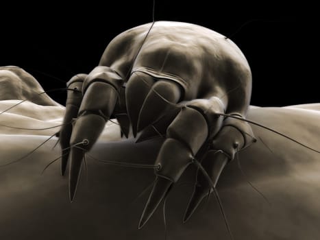 3d rendered illustration of an isolated mite