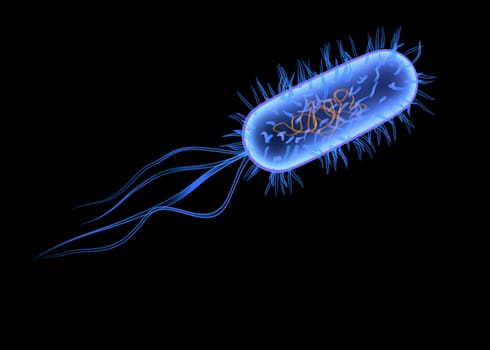 3d rendered close up of an isolated bacterium