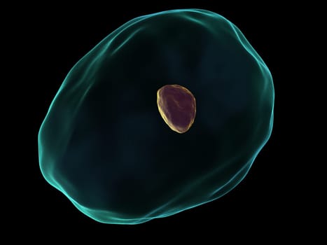 3d rendered close up of a cell with nucleus
